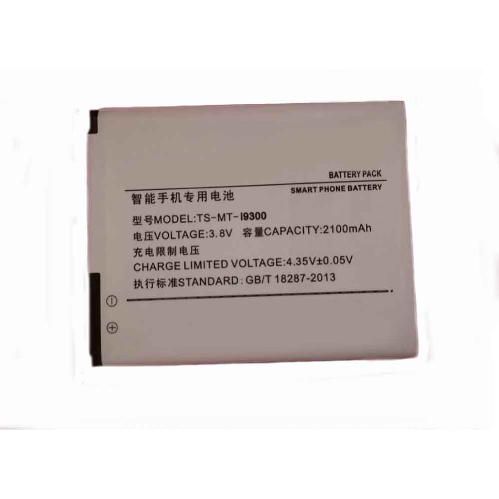 Tablet Akkus für Pisen TS-MT-I9300